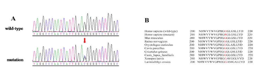 Amplicon Seq svc image03