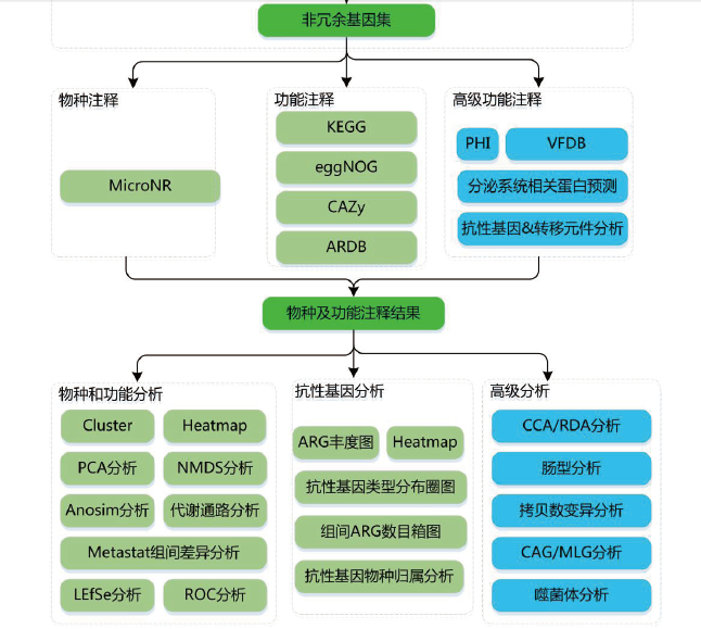 Metagenomic Seq svc image02