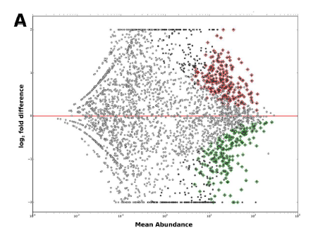 Metagenomic Seq svc image05