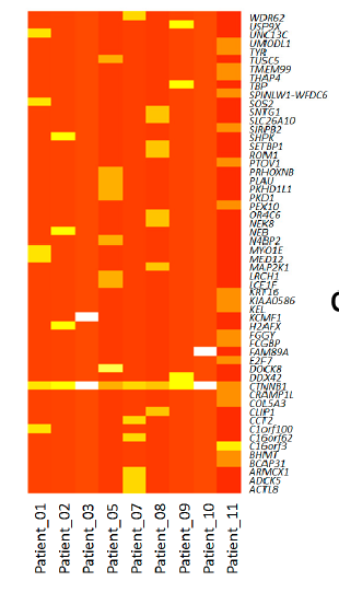 WholeExome Seq svc image02