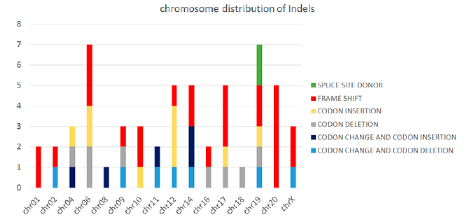 WholeExome Seq svc image03