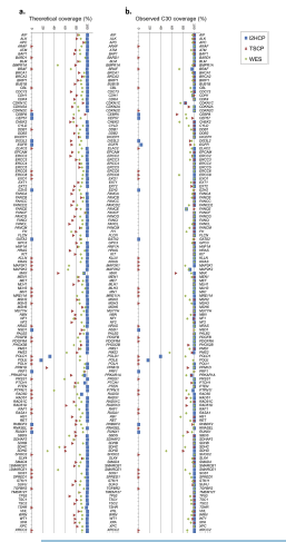 WholeExome Seq svc image04