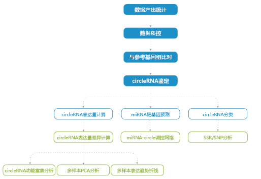 circRNA SEQ svc image02