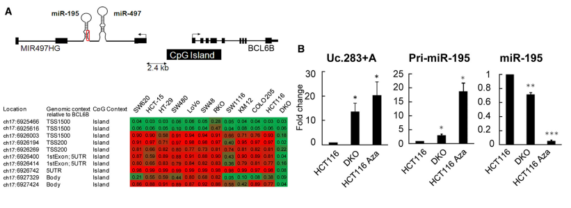 lncRNA SEQ svc image03