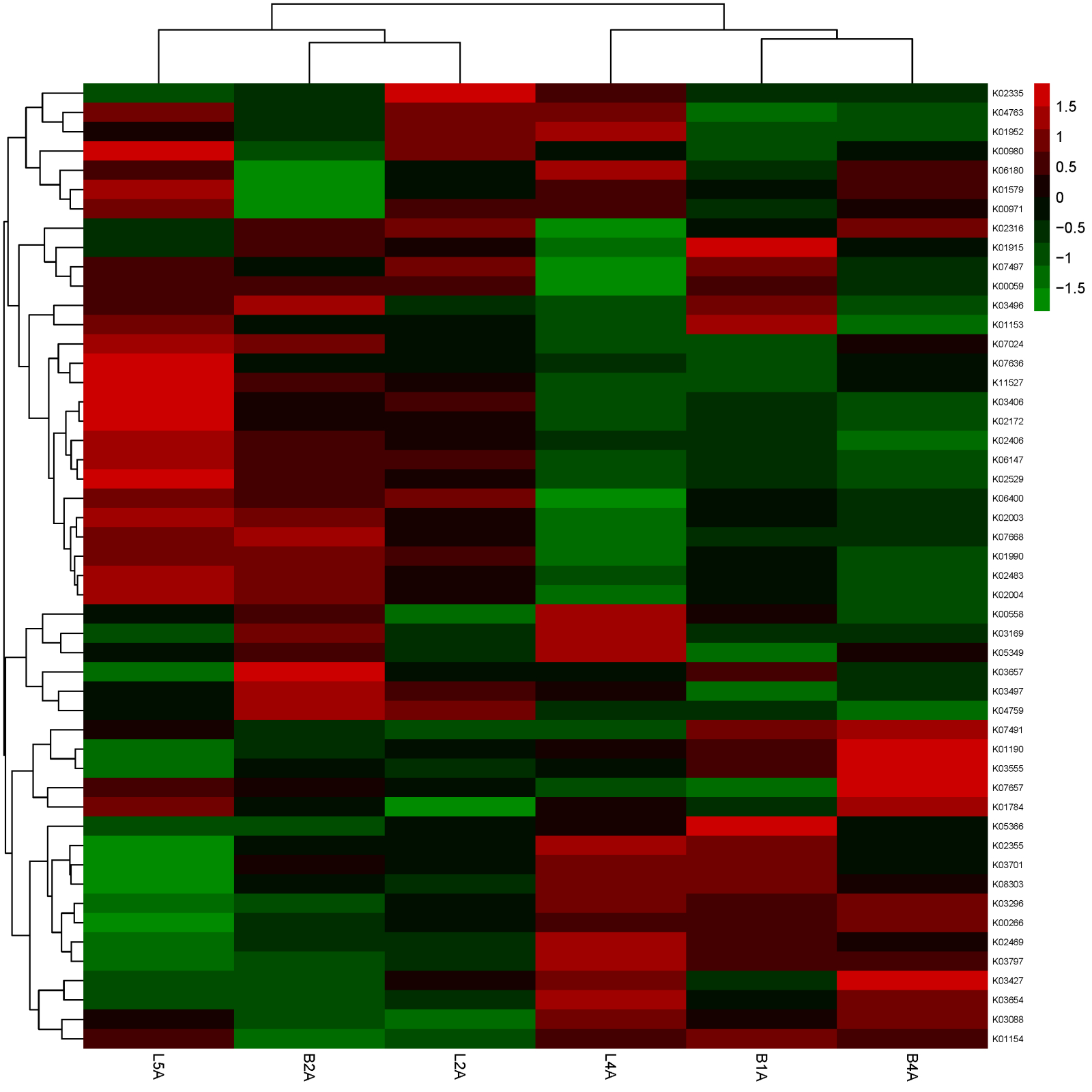 mRNA SEQ svc image04