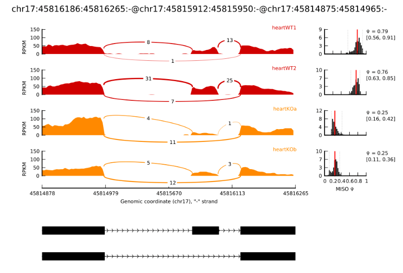 mRNA SEQ svc image05