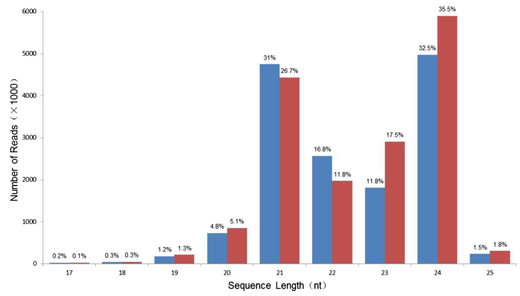 smallRNA SEQ svc image03